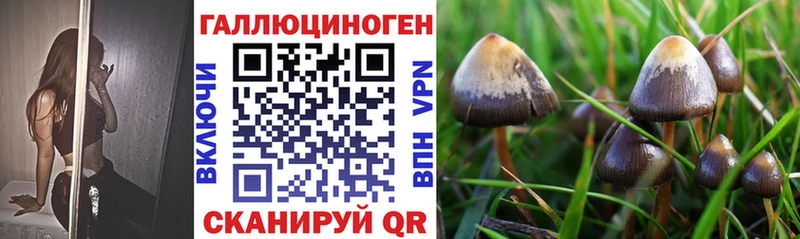 Псилоцибиновые грибы прущие грибы  Купить закладки  Куртамыш 